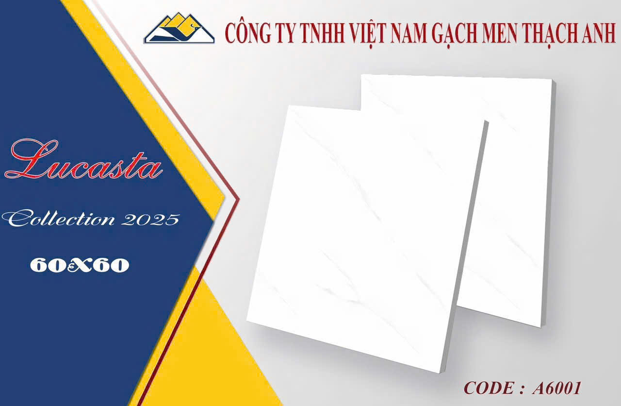 Gạch lát nền 60x60cm Vicera-4369